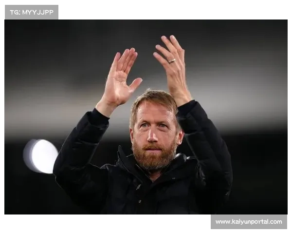 布莱顿主场扩建计划获批 安联球场容量将提升至三万座迎接更多球迷